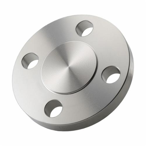 Merit Brass A635BL-48 Raised Face Blind Flange, 3 in, 316/316L Stainless Steel, 150 lb, Import